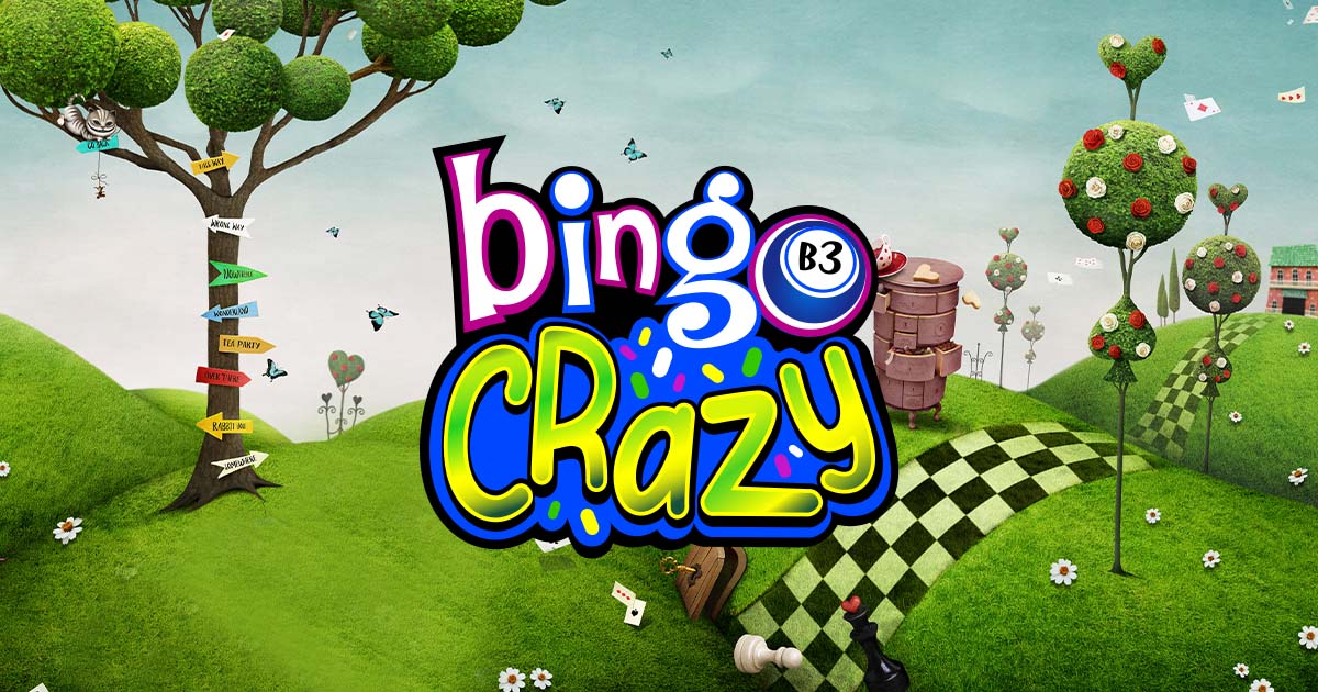 Bingo Crazy